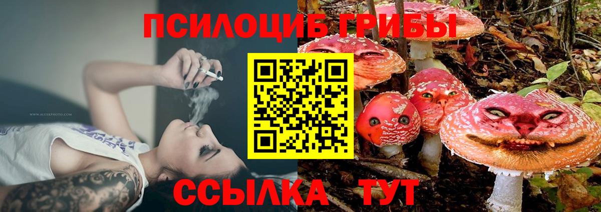 Галлюциногенные грибы GOLDEN TEACHER  Вход с VPN  сколько стоит  Кирово-Чепецк 